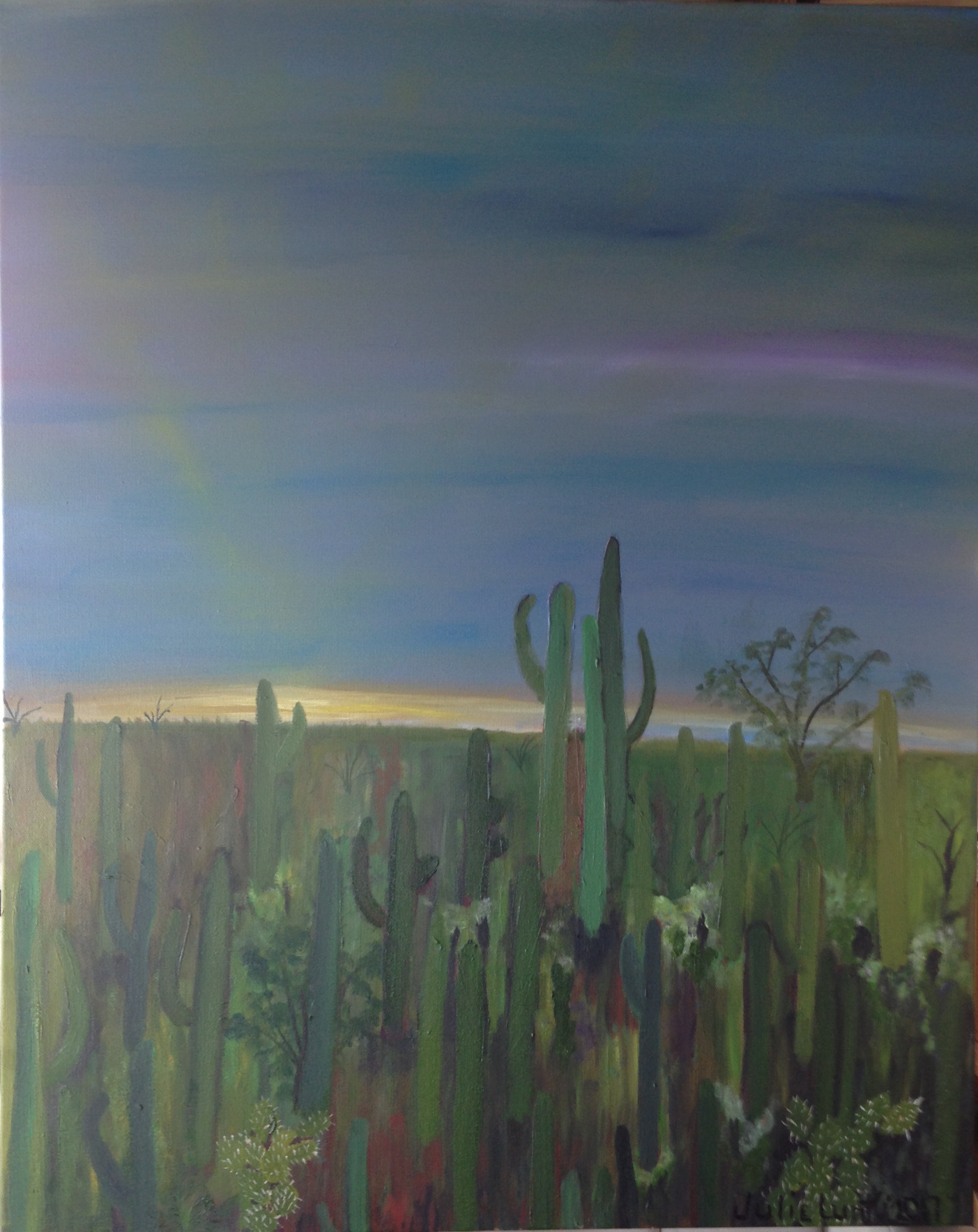 "Saguaro Evening"