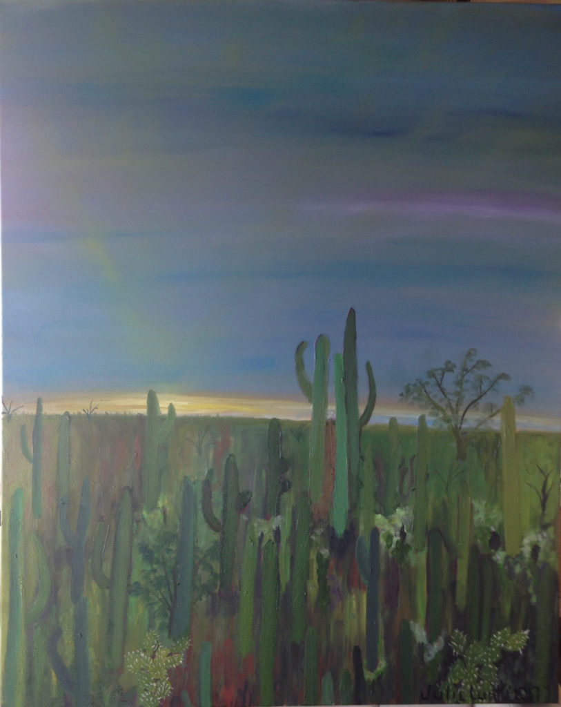 "Saguaro Evening"